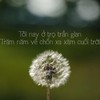 Ở trọ trần gian