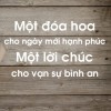 Để "đoá hoa ra chào"