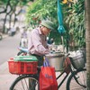 Thức quà buổi sớm mùa hè