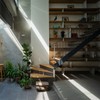 Nắng lên sau những ngày lạnh giá