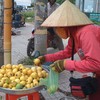 Bước chân cô Tấm
