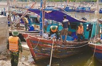 Hải Phòng neo đậu tàu thuyền về nới tránh trú an toàn