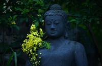 Đức Phật, một con người có tình yêu vĩ đại.