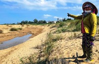 Kênh dẫn trạm bơm Cù Bàn không có nước khiến cho hơn 90 hecta lúa, hoa màu của người dân xã Duy Châu đứng trước nguy cơ “chết khát”.