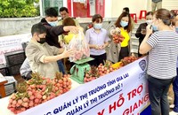 Chiến dịch tiêu thụ vải thiều lớn xuất hiện ngay trong cao điểm dịch COVID-19.