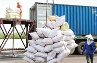 Cần thay đổi chính sách quản lý xuất nhập khẩu gạo.