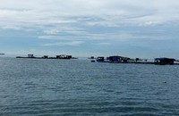 Gần 3.000 tàu trong phạm vi nguy hiểm của bão số 1