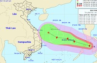 Tối nay khả năng bão giật cấp 12 đổ bộ Biển Đông, Thanh Hóa - Cà Mau sẵn sàng ứng phó