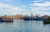 Bình Định hỗ trợ gần 97,8 tỷ đồng cho 1.140 tàu đánh bắt cá xa bờ.