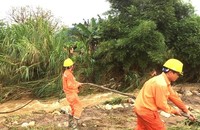 Công nhân khắc phục sự cố lưới điện do mưa lũ gây ra