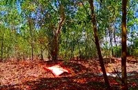 Hiện trường vụ việc.
