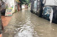 Nhiều con ngõ ngập sâu trong mưa lớn.