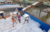 Đánh giá hoạt động xuất nhập khẩu gạo ở khu vực phía Nam
