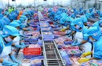 Thị trường châu Phi sẽ là thị trường hấp dẫn cho mặt hàng thủy, hải sản.