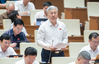 Đại biểu Trần Văn Lâm phát biểu tại phiên họp.