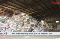 Kinh hoàng công nghệ tái chế giấy bẩn trong mùa dịch
