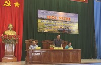Phú Yên chuyển đổi 157 ha đất trồng lúa sang cây trồng khác.