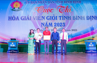  Bình Định tổ chức cuộc thi Hòa giải viên giỏi năm 2023