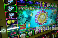 Máy chơi game quay thú ăn tiền chỉ xuất hiện ở các tụ điểm casino nhưng có dán em kiểm định của Sở VH-TT-DL Bạc Liêu