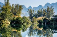 Một cây cầu tre vắt vẻo bắc ở đoạn sông Quây Sơn hẹp nhất khiến khung cảnh càng như nghệ thuật sắp đặt của một bức tranh.