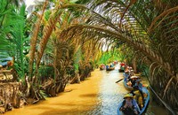 Rừng dừa nước ngày nay là hình ảnh quen thuộc trong hoạt động du lịch các tỉnh miền Tây Nam bộ.