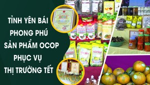 Yên Bái phong phú sản phẩm OCOP phục vụ thị trường tết