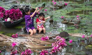 Trà Sư “gõ nhịp” du lịch xanh