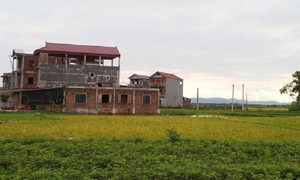 Ảnh minh họa (nguồn: Internet).