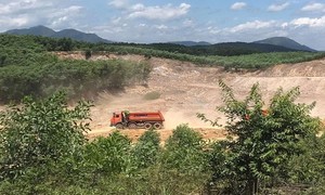 Thời gian qua, tỉnh Thừa Thiên-Huế đã xử phạt nhiều doanh nghiệp lấn chiếm đất rừng sản xuất trong quá trình hoạt động khai thác khoáng sản.