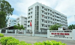 Ảnh minh họa từ internet.