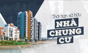 Ảnh Reatimes