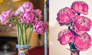 Những loại hoa nên bày trên bàn thờ để thu hút tài lộc
