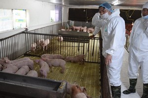 Bộ trưởng NN&PTNT Nguyễn Xuân Cường kiểm tra công tác tái đàn tại địa phương (Hình: baochinhphu.vn)