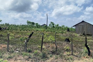 Hiện trạng một dự án tại Kon Plông.