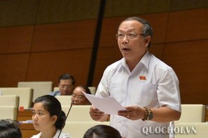 ĐB Đinh Duy Vượt cho ý kiến tại phiên họp.