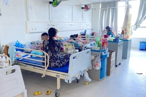 Gia tăng số ca nhập viện vì sốt xuất huyết. (Ảnh minh họa)