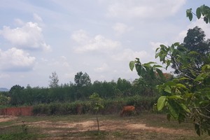 “Siêu dự án” thực chất chỉ là bãi đất xác xơ