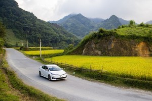 Corolla Altis là mẫu xe thành công nhất của Toyota.