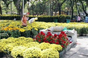 130 chợ hoa Tết và đường hoa xuân phục vụ người dân và du khách TP HCM