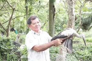 Mối duyên đặc biệt của người đàn ông ở Vĩnh Long với hàng nghìn con chim trời