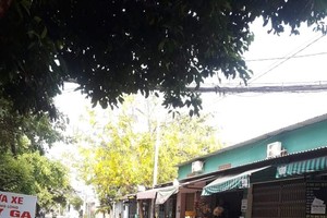 Một đoạn Dương Quảng Hàm (quận Gò Vấp) không có bóng người.