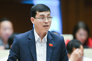 Đại biểu Đỗ Đức Hiển phát biểu tại phiên họp.