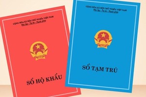 Ảnh minh họa.