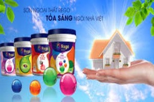 Sơn Rego - Tỏa sáng ngôi nhà Việt