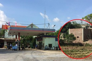 Nam Định: Xây dựng trái phép trên đất nông nghiệp tại huyện Nam Trực