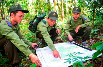 Bản tin sáng 24/05: Thủ tướng chỉ đạo tăng cường các biện pháp cấp bách phòng cháy rừng