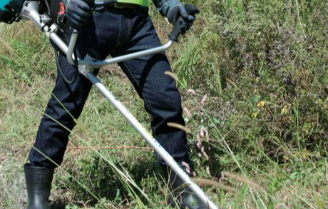 Những Tai Nạn Lao Động Kinh Hoàng Từ Máy Cắt Cỏ | Báo Pháp Luật Việt Nam  Điện Tử