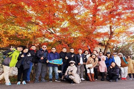 Viettourist Giải Bài Toán Khó Về Du Lịch Cao Cấp Giá Rẻ | Báo Pháp Luật  Việt Nam Điện Tử
