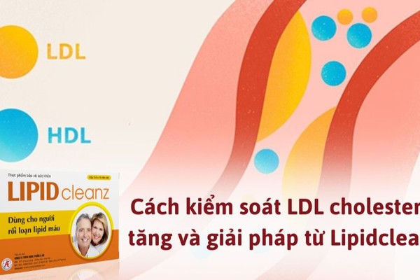 Cách kiểm soát LDL cholesterol tăng và giải pháp từ Lipidcleanz