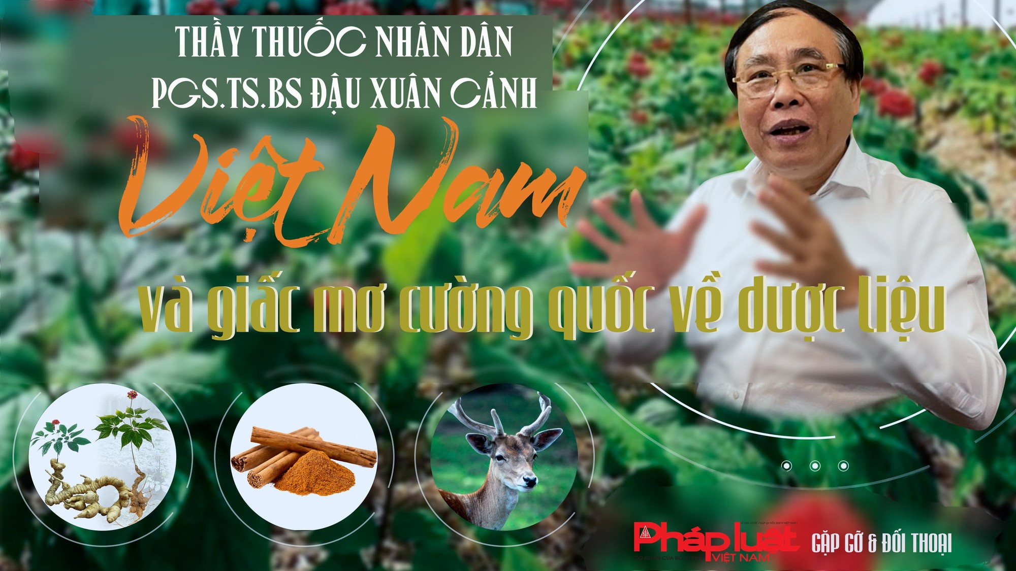 PGS.TS.BS Đậu Xuân Cảnh: Việt Nam và giấc mơ cường quốc về dược liệu